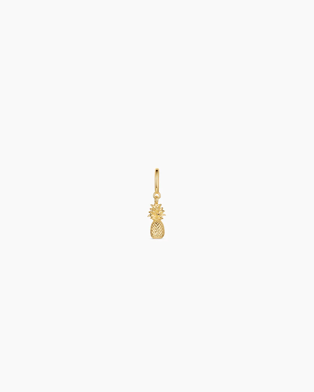 Pineapple Parker Charm